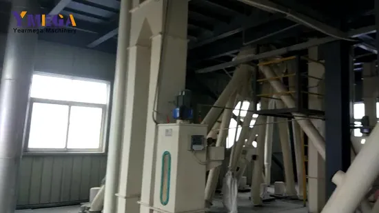 Linea di produzione di pellet per mangimi per animali, pollame, polli, bovini, suini e pesci per impianti di produzione di mangimi per animali
