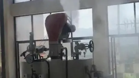Generatore di vapore Potenza 1 2 3 4 tonnellate/ora